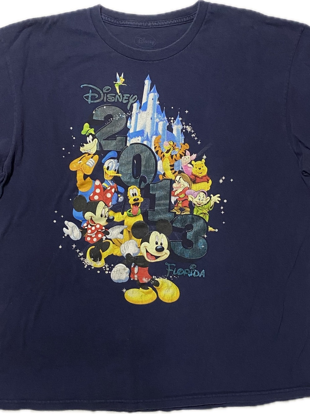 Disney Navy Mickey & Friends 2013 Castle Graphic Tee